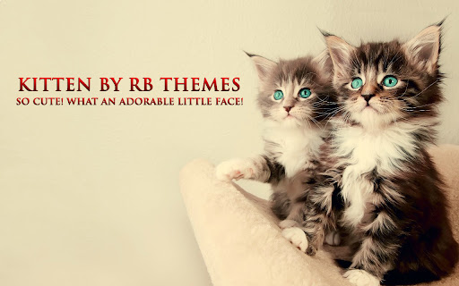 Kitten By RB Themes