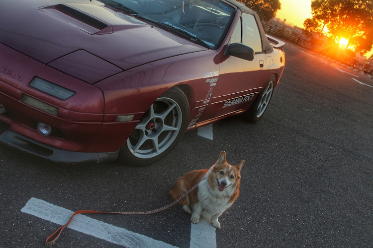 RX-7のRX-7カブリオレ・RX-7・山田池公園・コーギーのなな・一眼レフ撮影に関するカスタム事例の投稿画像14枚目