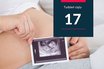 17. tydzień ciąży - kalendarz ciąży