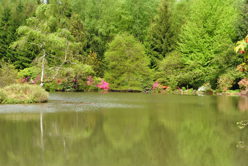 Jardin botanique de Gondremer