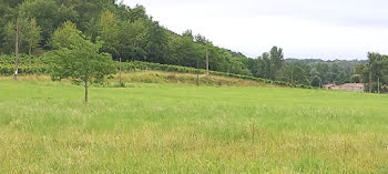 terrain à Montpeyroux (24)