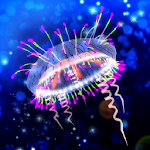 Cover Image of Download Jellyfish Friends　-free caring game- 1.0 APK
