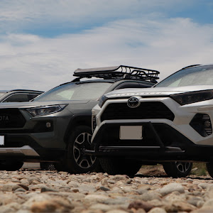 RAV4 MXAA54