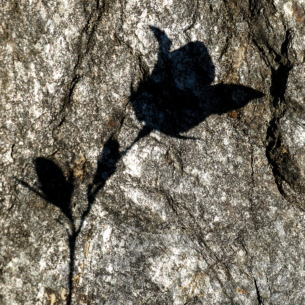 l'ombra di sé stesso di tispery