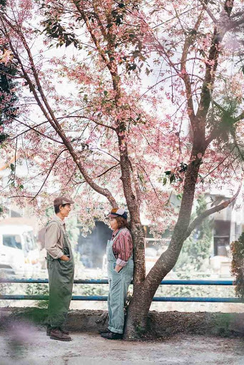 Dưới tán mai anh đào hồng khoe sắc thắm, ông bà trao nhau ánh mắt và cử chỉ đầy ngọt ngào. Tuổi tác không hề làm vơi đi những yêu thương và sự quan tâm. Ảnh: Hipster Studio.