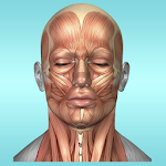 Cover Image of 下载 Muscle Anatomy Reference Guide 1.0.6 APK