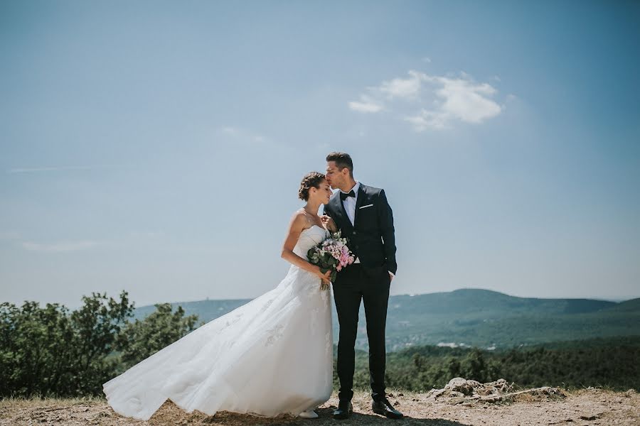 Wedding photographer Virág Mészáros (awhjs). Photo of 15 August 2017