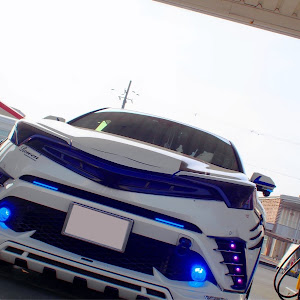 C-HR NGX50