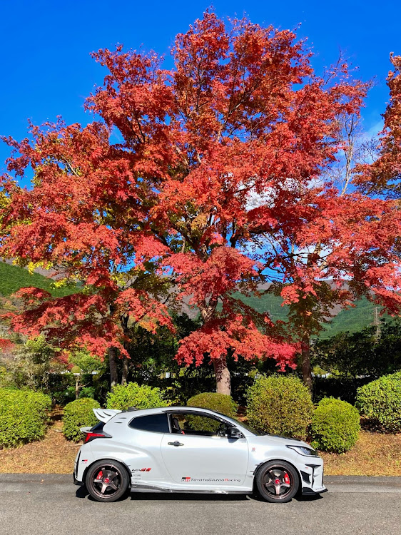 86のROWEN・紅葉・富士霊園の紅葉・一部フィクションが含まれています・2023ベストショットは無い！に関するカスタム事例の投稿画像5枚目