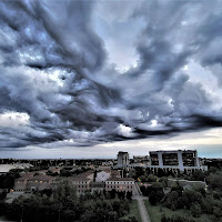 Dal mio balcone  di 