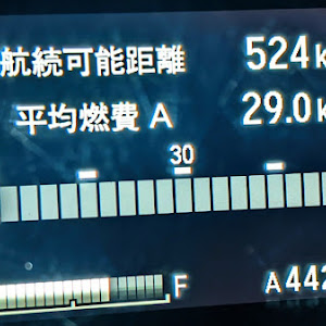 フィット GK6