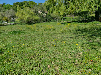 terrain à Sainte-Marie-de-Gosse (40)