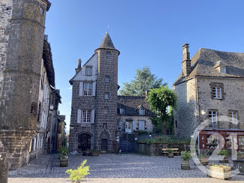 château à Salers (15)