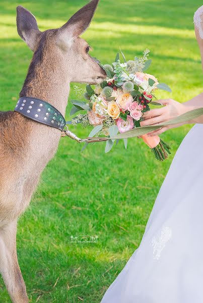 Photographe de mariage Nadia Koles (savethemoment). Photo du 12 juin 2016