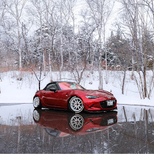 ロードスター ND5RC
