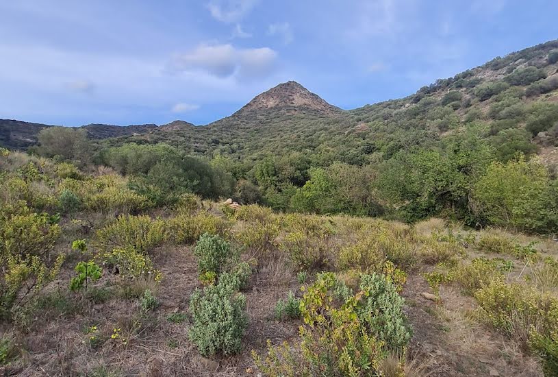  Vente Terrain agricole - 10 225m² à Banyuls-sur-Mer (66650) 