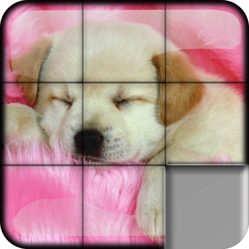 Sliding Puzzle Dogs  Puppies