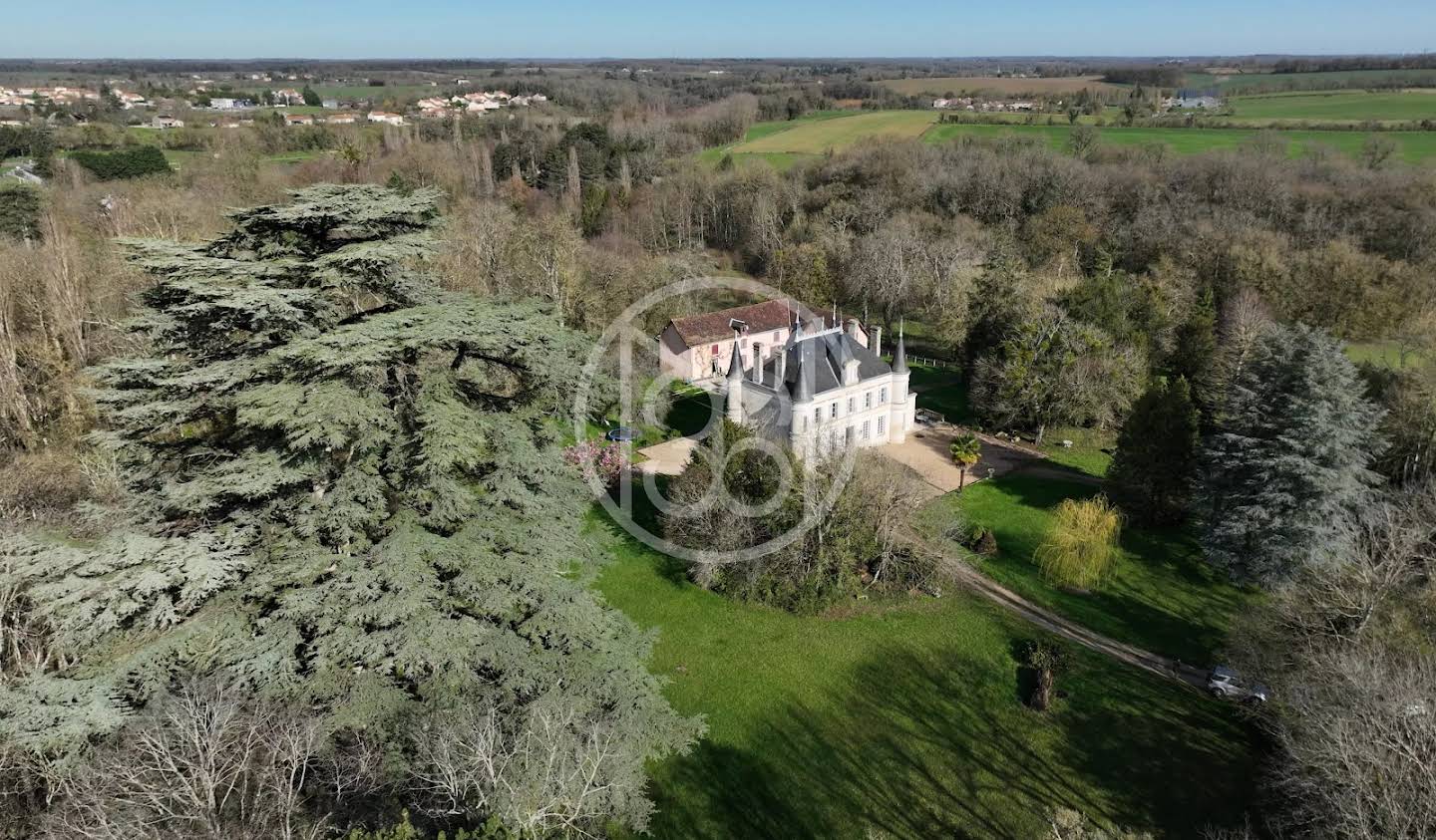 Castle Poitiers