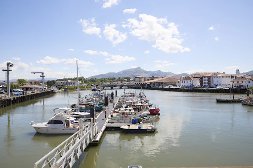 Hôtel particulier classé monument historique avec salle de réception 3