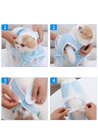 Title 3, Cat Clothes Summer Clothes Thin Pet Care Suit L...