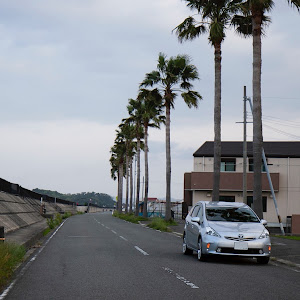 プリウスα ZVW40W