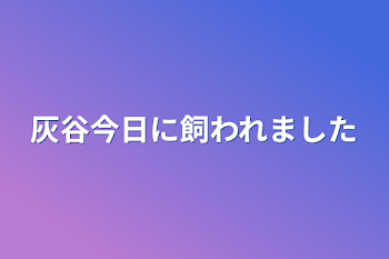 灰谷今日に飼われました