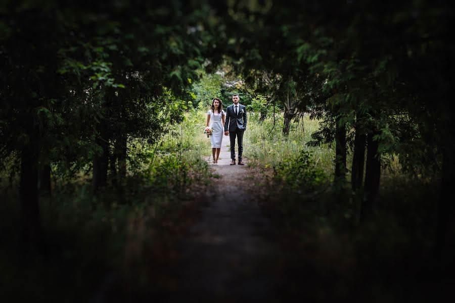 Wedding photographer Yevhen Onyshchenko (onphoto). Photo of 17 July 2017