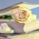 Flower book