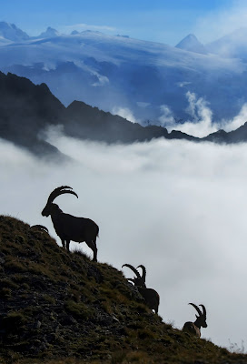 E guardo il mondo da lassù di gigidueelle