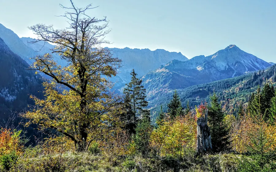 Imbergerhorn Strausberg Allgäu Sonthofen Hindelang Rotspitz Großer Daumen