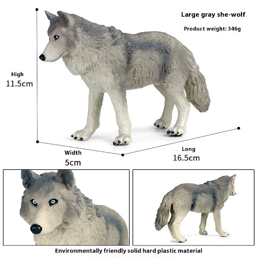 Big Gray Female Wolf 0341