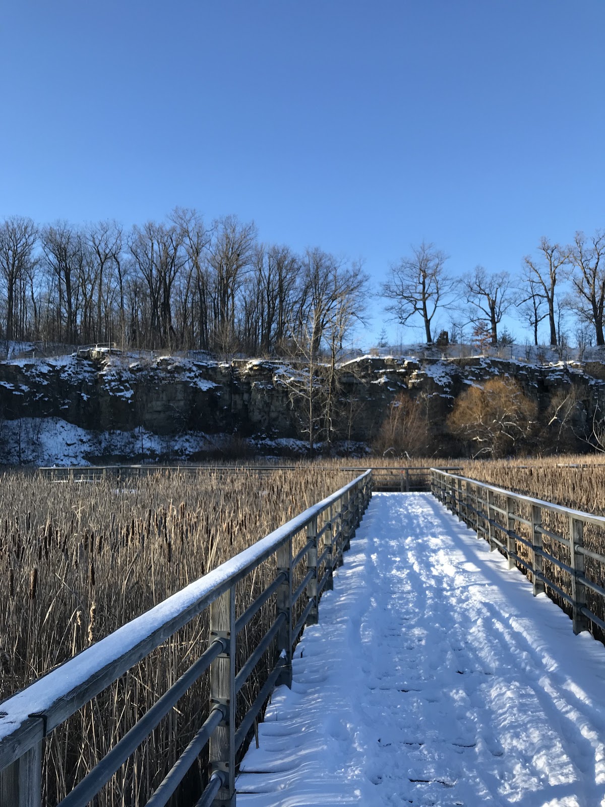 winter activities in ontario