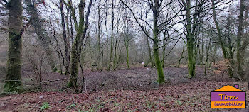 terrain à Champagney (70)