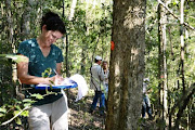 Erica Smithwick, professor of geography and director of the Centre for Landscape Dynamics at Pennsylvania State University, measures trees to quantify carbon stocks in the Dwesa-Cwebe nature reserve in the Eastern Cape. 

