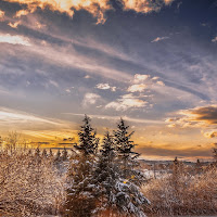 Sfumature d'inverno di 