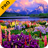 Valley of Flowers PRO Live Wallpaper1.0.0 (Paid)