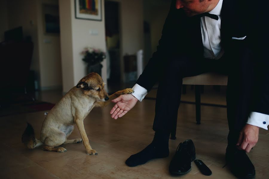 Photographe de mariage Alejandro Crespi (alejandrocrespi). Photo du 20 décembre 2018