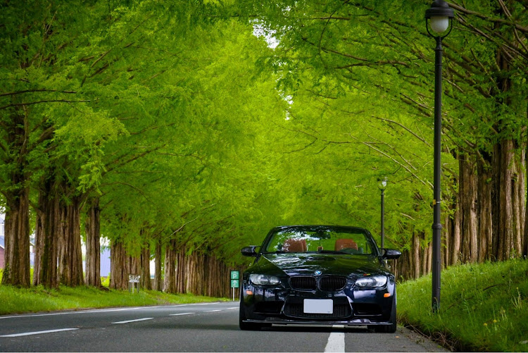 3シリーズ カブリオレのBMW・M3cabriolet・景色最高・メタセコイア並木・リアビューに関するカスタム事例の投稿画像1枚目