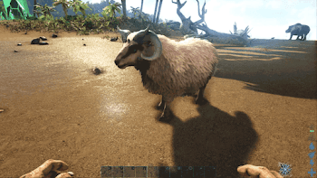 Ark ヒツジのテイム方法とメリット Ark Survival Evolved 神ゲー攻略