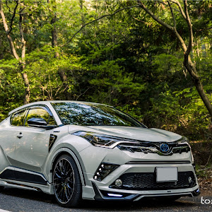 C-HR ZYX10