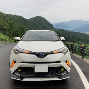 C-HR ZYX10