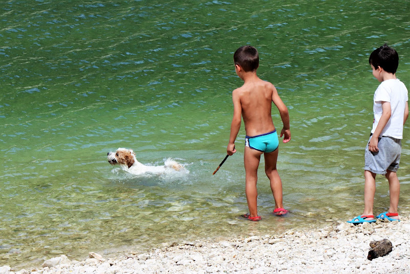 Insieme a fare il bagno di Cimabue