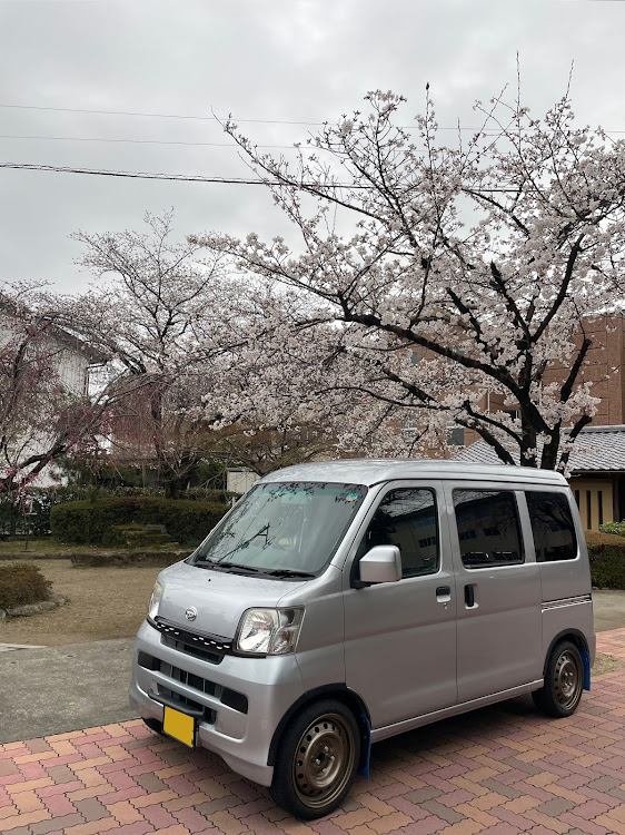ハイゼットカーゴの4月もよろしくお願い致します🌸・桜シーズン開幕・サクラと愛車に関するカスタム事例の投稿画像3枚目