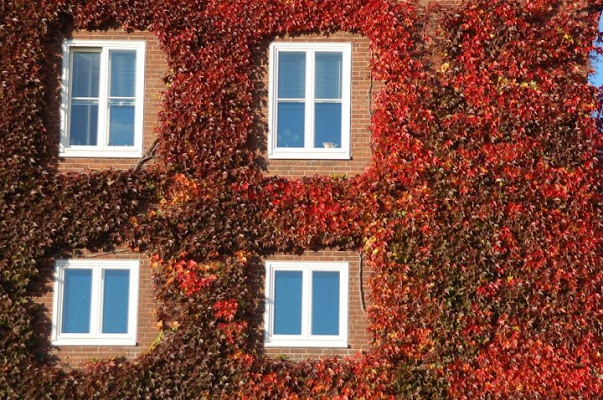 Vestito d'autunno di naquae