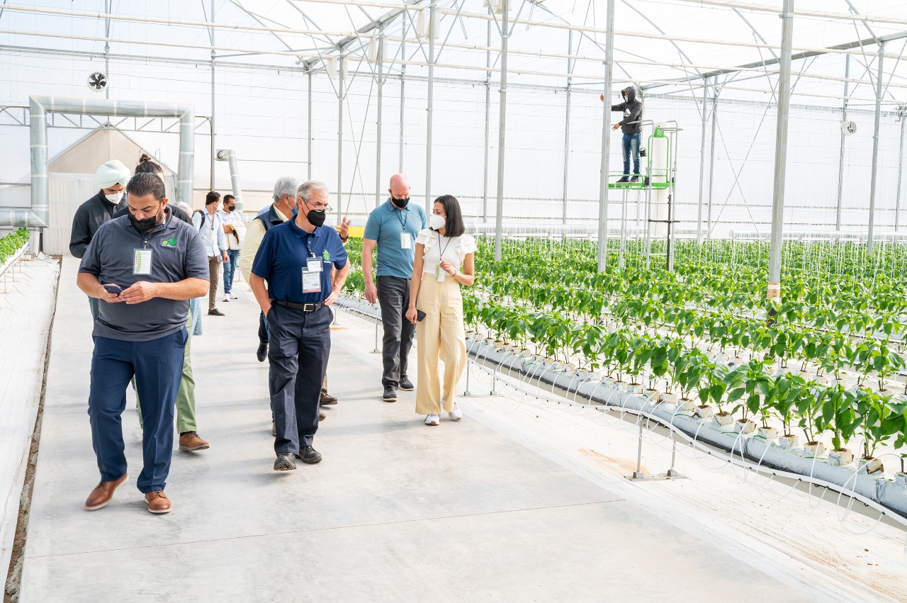 Touring a greenhouse in Mexico with other Canadian entrepreneurs.