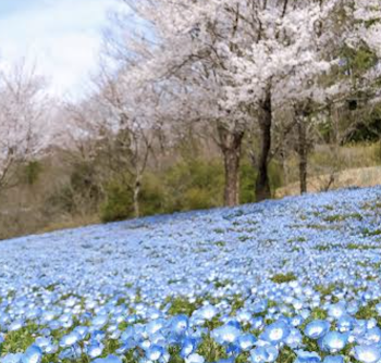 「雑談しよう!!」のメインビジュアル