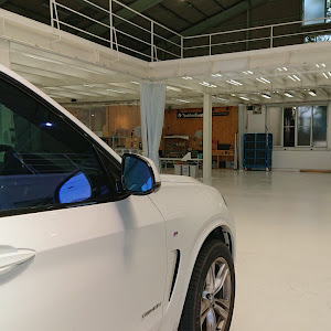 X5 F15