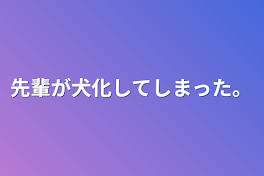 先輩が犬化してしまった。