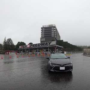 カローラスポーツ NRE210H