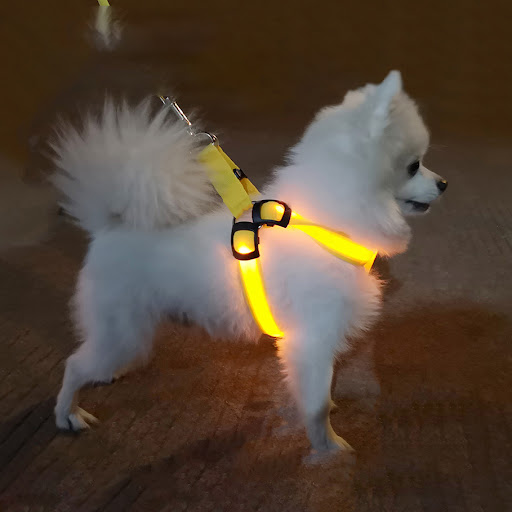 miniatures image - 15